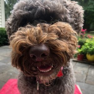 Meet your Posher, Cathy